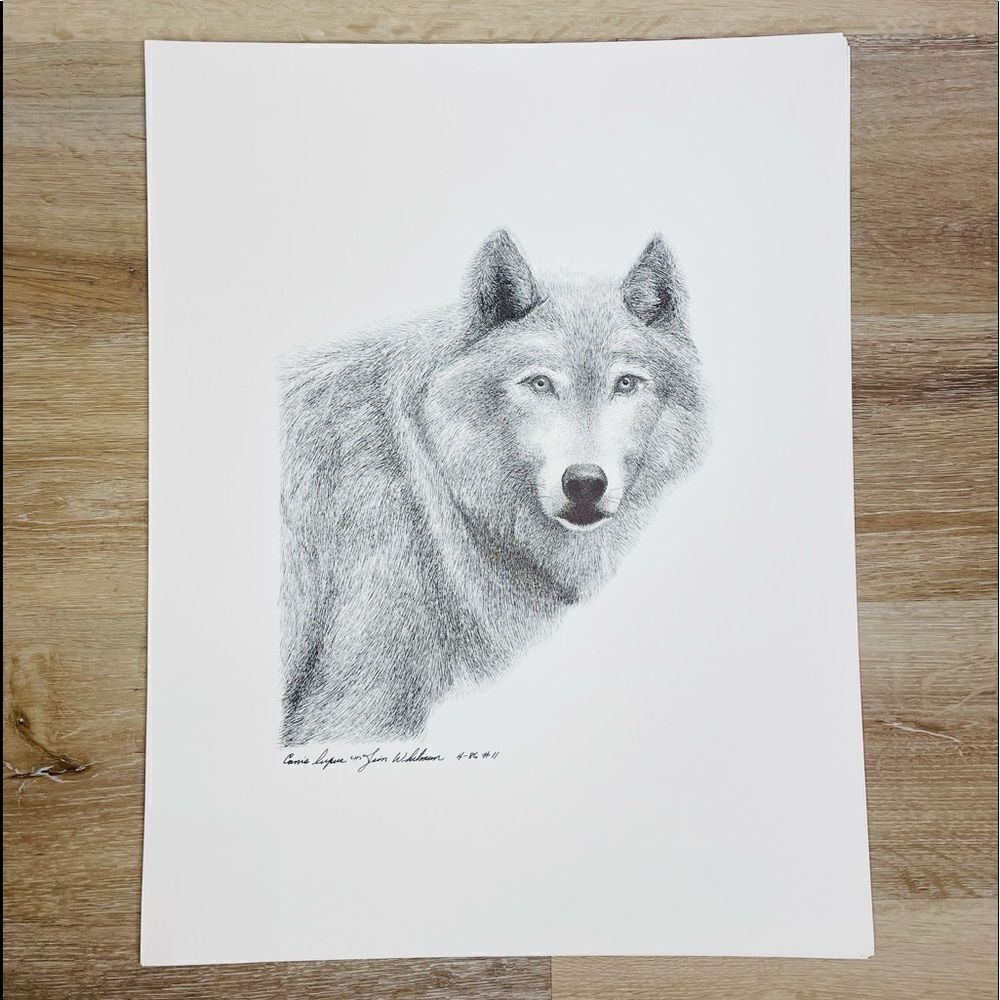 Canis Lupus “Wolf” Prints